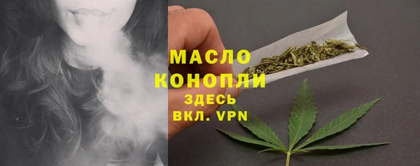 гашик Бородино