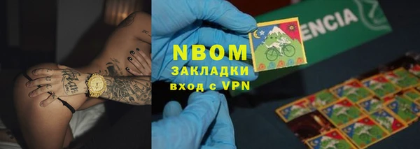 гашик Бородино