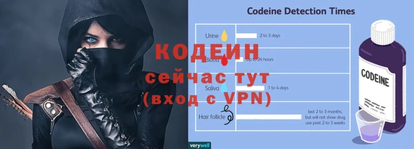 гашик Бородино