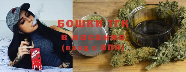 spice Богородск