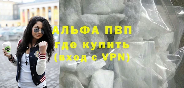 гашик Бородино