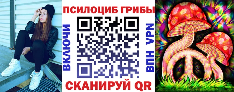 продажа наркотиков  Егорьевск  Псилоцибиновые грибы Psilocybe 
